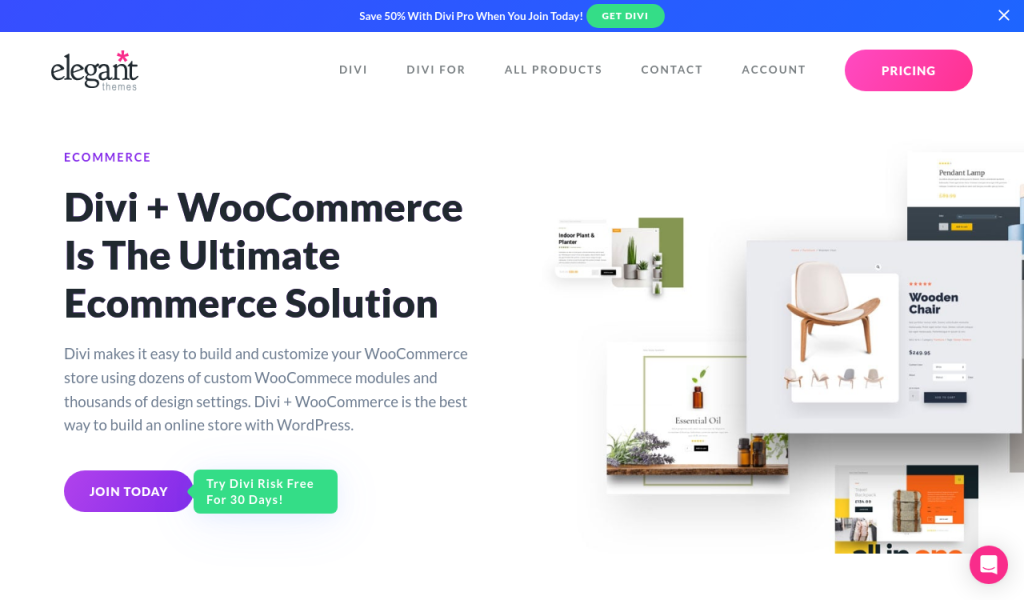 eCommerce & Business WordPress Themes