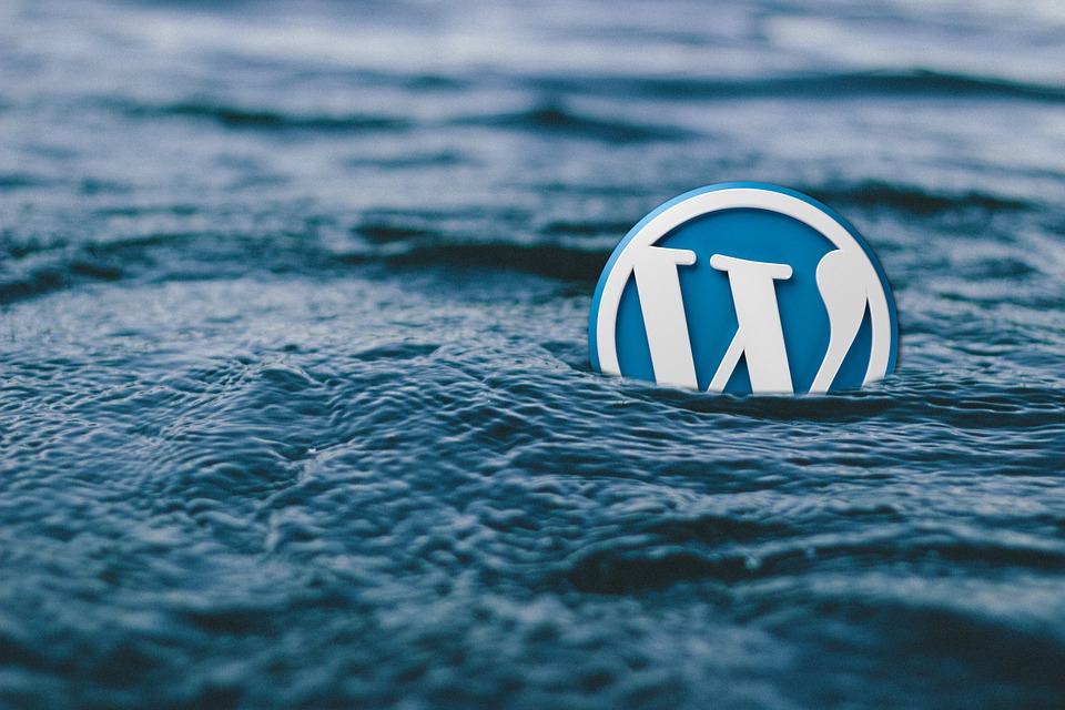 WordPress Accessibility for Web Designers
