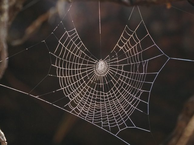 WordPress Web Design: A Comprehensive Guide