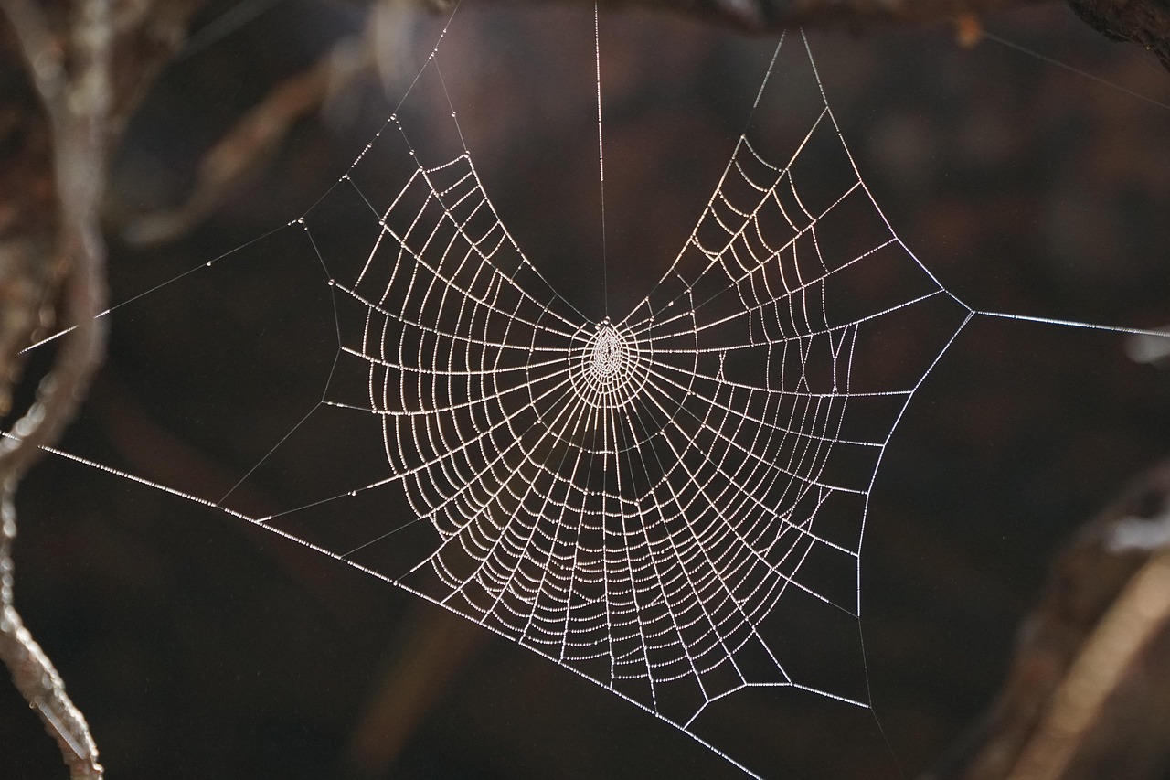 WordPress Web Design: A Comprehensive Guide
