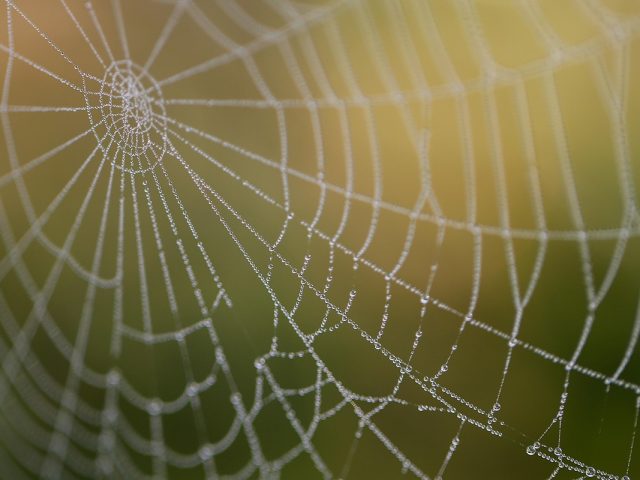 Unlocking Creativity: Innovative WordPress Design
