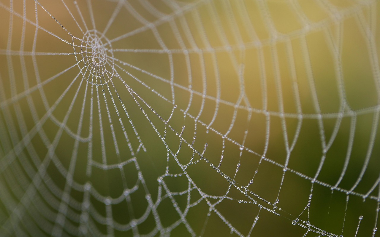 Unlocking Creativity: Innovative WordPress Design