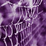 Customizing Your WordPress Theme: A Designer's Guide