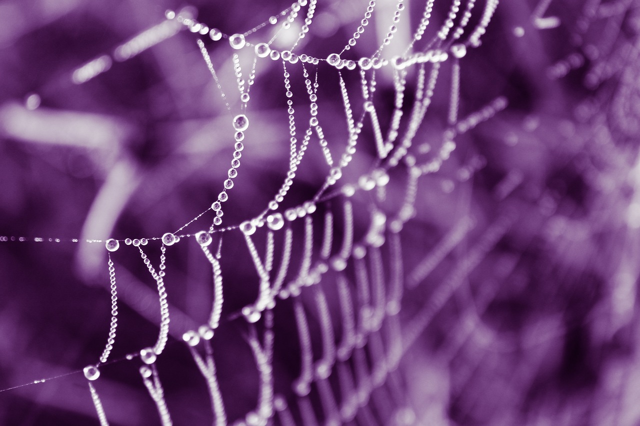 Customizing Your WordPress Theme: A Designer's Guide