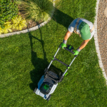 Top 10 Best Landscaping Services in Houston, TX