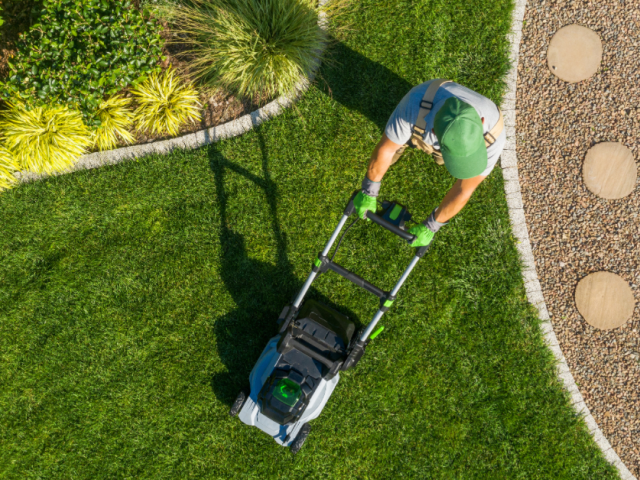 Top 10 Best Landscaping Services in Houston, TX