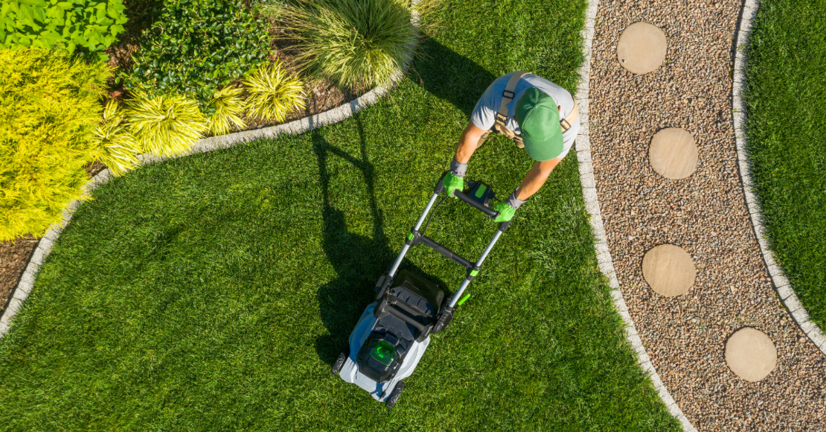 Top 10 Best Landscaping Services in Houston, TX